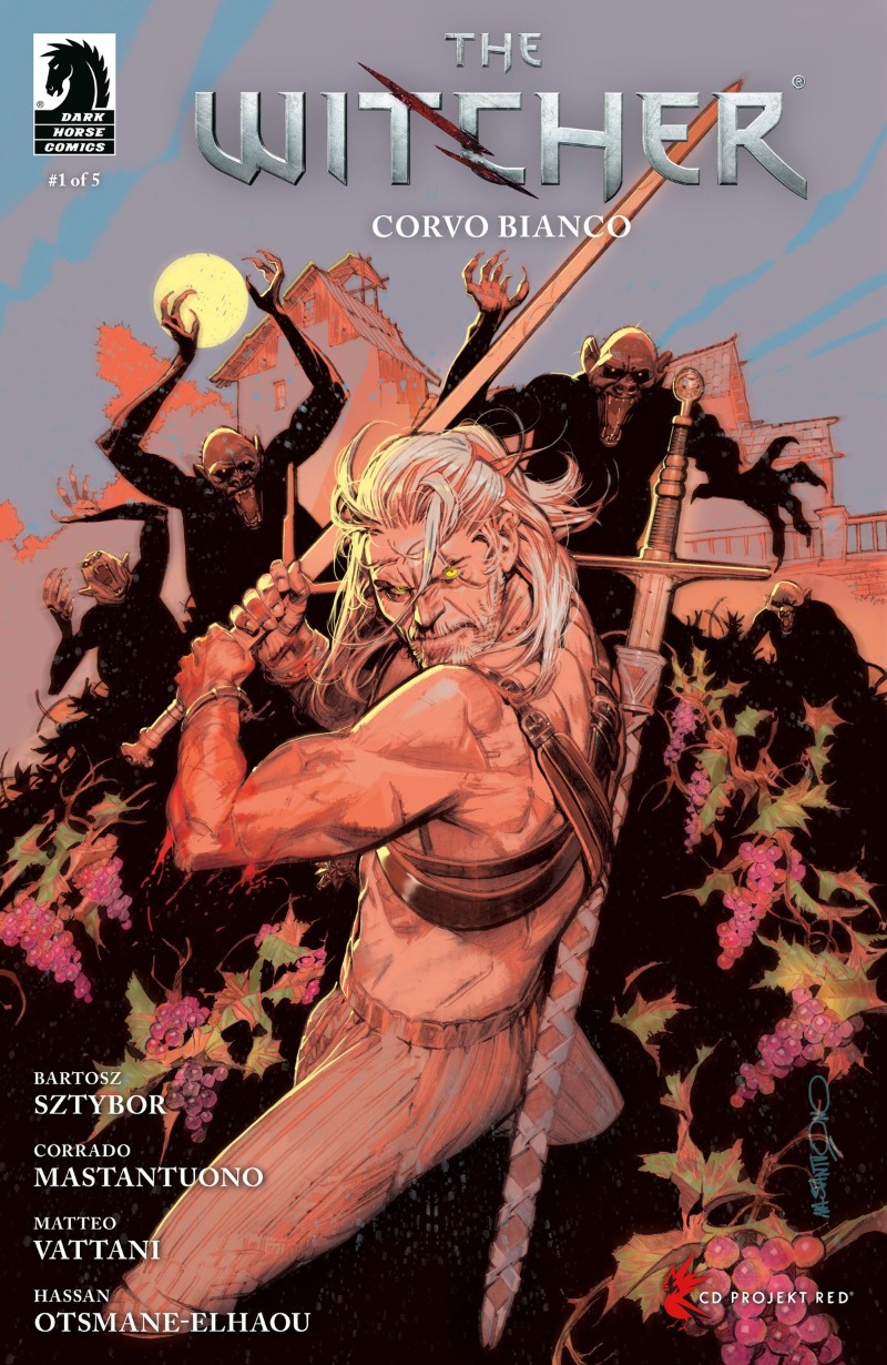 The Witcher: Corvo Bianco (2024-)